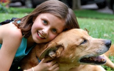 Animal Related Summer Jobs For Kids: A Cure For Boredom