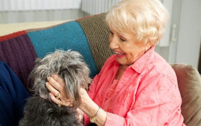 Doggie Lingo: Does My Dog Understand Me?