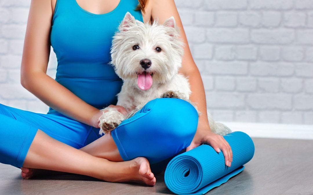 Downward Doggie: 5 Benefits of Dog Yoga