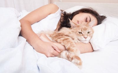 How Cats Choose Who to Sleep With