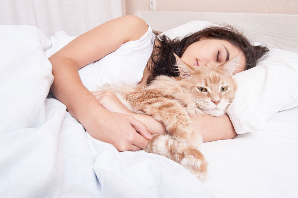 How Cats Choose Who to Sleep With - Union Lake Pet Services