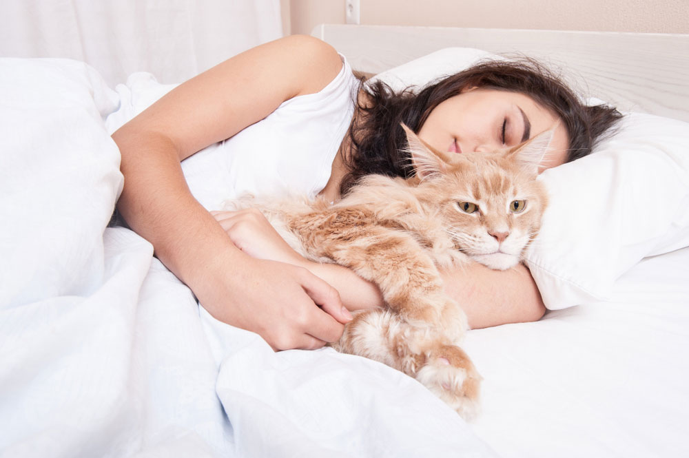 How Cats Choose Who to Sleep With Union Lake Pet Services