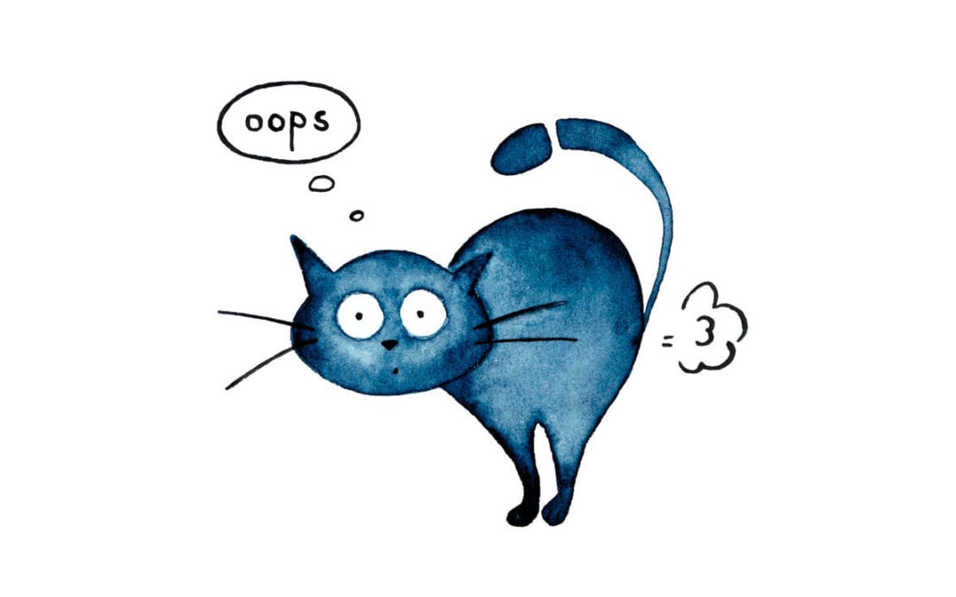 Do Cats Fart?: Feline Flatulence