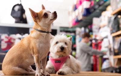 Buyer Beware: You May Be Paying Too Much for Pet Supplies