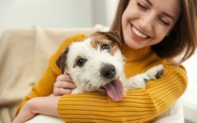 What to Look for in a Pet Sitter