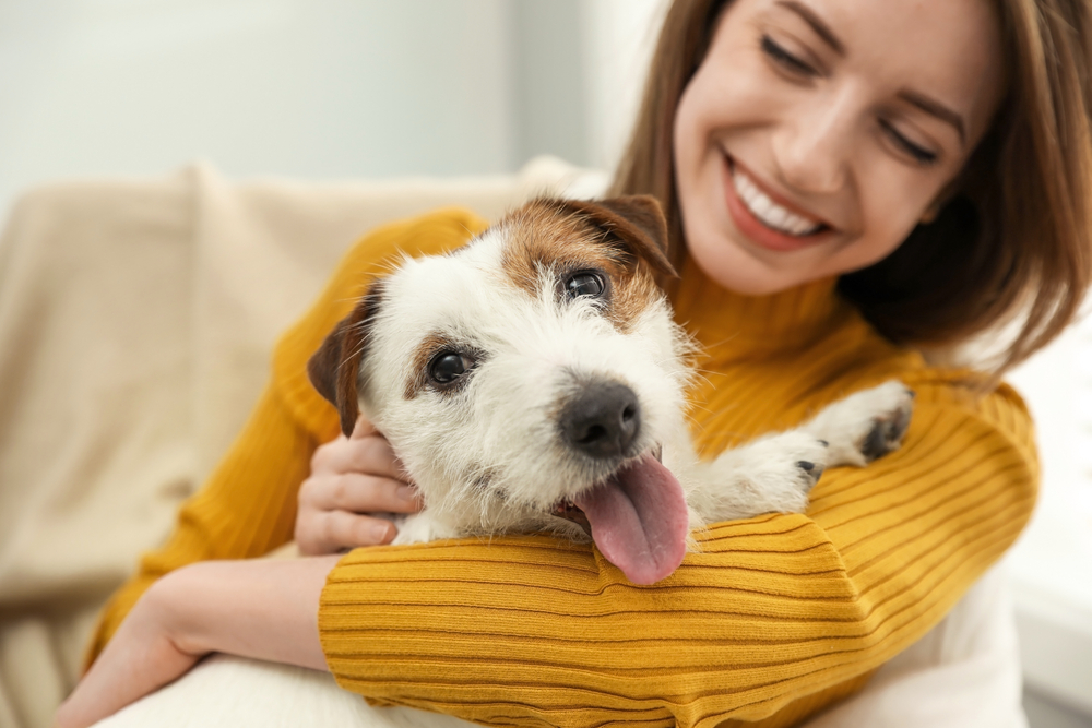 What to Look for in a Pet Sitter