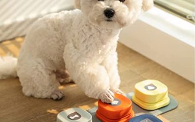 Dog Communication Buttons: Are they Right for Your Dog?