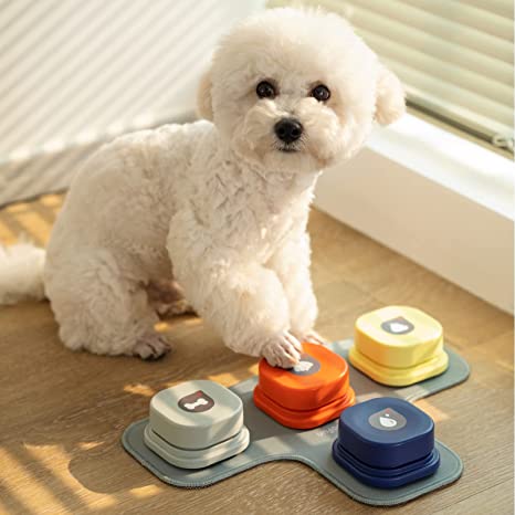 Dog Communication Buttons: Are they Right for Your Dog?