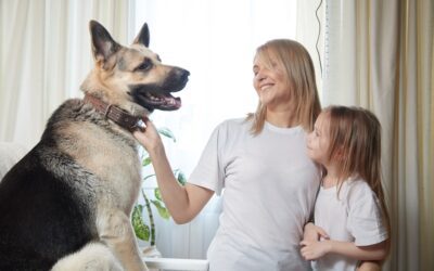 Train Your Dog How to Behave Around Children