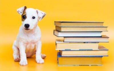10 Pet Behavior Books Worth a Read