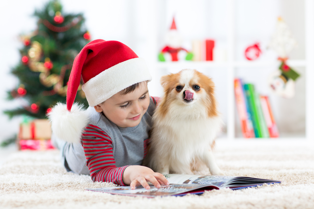 Heartwarming Dog Stories at the Holidays