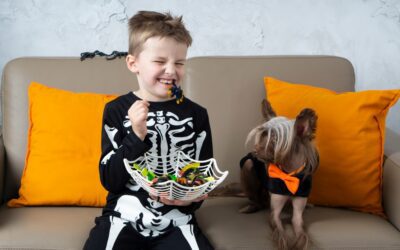 Halloween Pet Safety