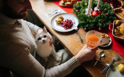 Teach Your Pet Holiday Manners
