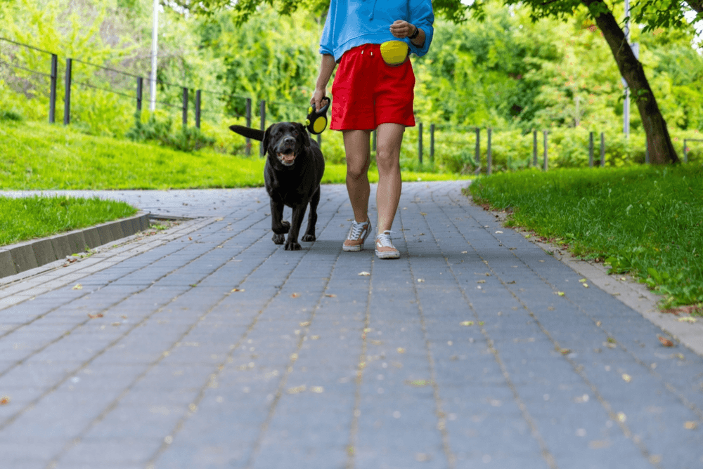 A lady walking outdoors with a dog