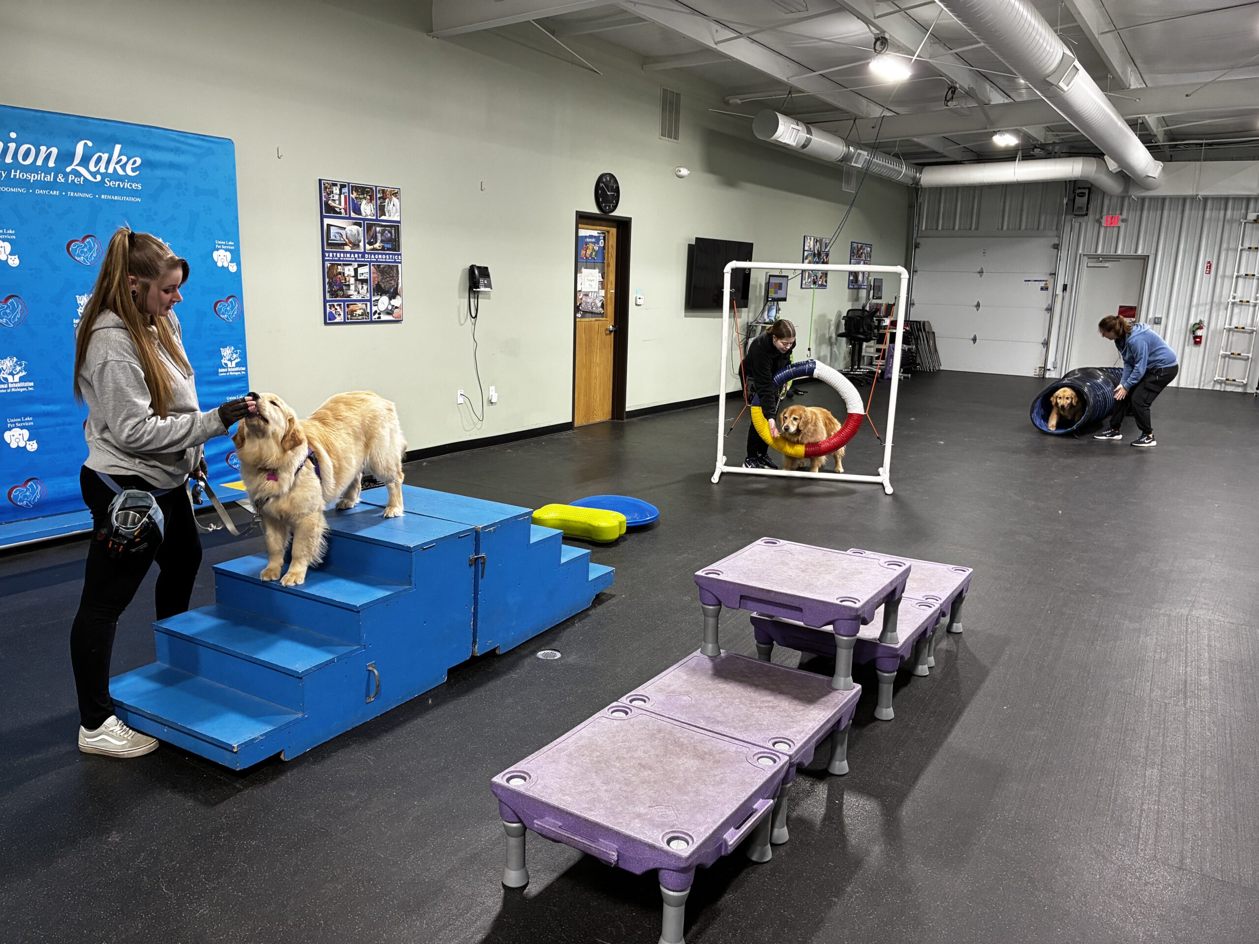 ULPS Trainers use positive reinforcement training methods.